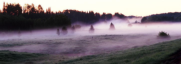 Foggy Sunrise Near Itasca State Park, MN